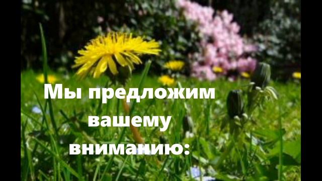 Фитотерапия  - что это такое и как ее нужно использовать