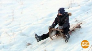Каникулы в деревне. Весело! Доброе утро. Фрагмент выпуска от 05.01.2021