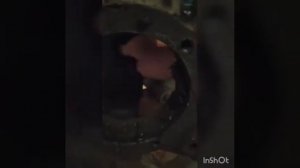 замена сальника полуоси газ 27527