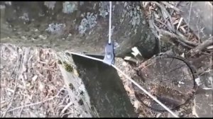 Тест на разрыв, трос 2,5 мм - 1/19 GAC от Капканпрома, два варианта с замками 3/32 и 1/8 в дюймах.