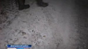 В Орловской области жертвой варварской охоты стал молодой лось