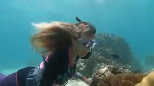 Woman   Underwater watching fish  Swim