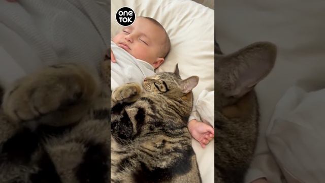 Most Adorable Thing On Internet 😍 | OneTok  #tiktokvideo #tiktok #short