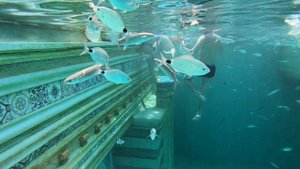 Подводный мир парк Sealanya Турция