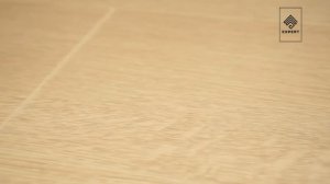 Ламинат Egger Pro Classic 10/32 4V Дуб Ньюбери белый. Обзор от expertpol.com