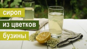 Сироп из цветков бузины черной