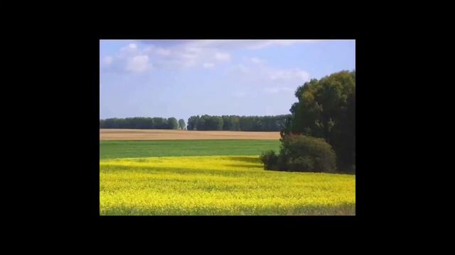 || Меме~Давай сделаем фото?~ Аниме: Великий из бродячих псов~ 2022 ||