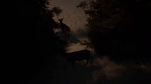 Сибирский кот Уссури и ДИКИЕ ЖИВОТНЫЕ ?