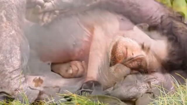 Колыбельная День сна смотреть онлайн