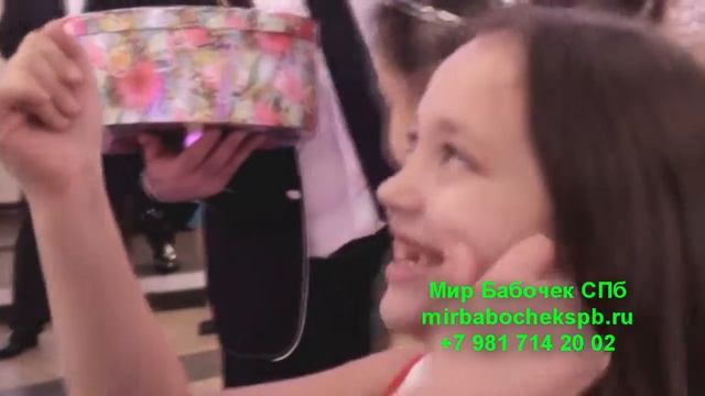 Салют из бабочек смотреть онлайн