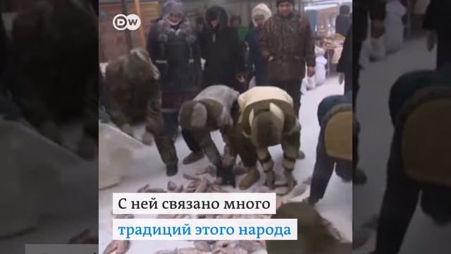 Самый холодный рынок в России смотреть онлайн