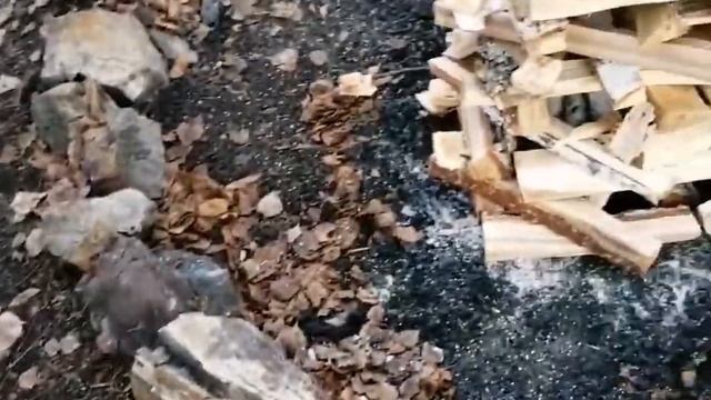 подготовка к шаманскому обряду смотреть онлайн