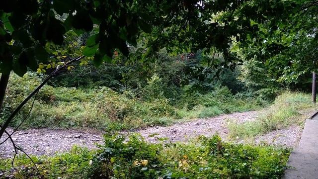 Море бухта Инал жильё пляж смотреть онлайн