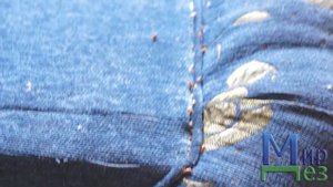 Действие препарата на клопов