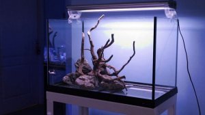 Запуск травника-акваскейпа.  Хардскейп.  Посадка растений.  Первый этап.