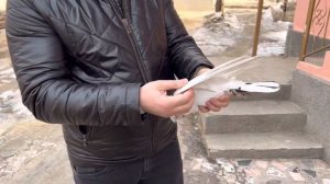 Таджикский голубь🕊️🇹🇯 2 февраля 2023 г.