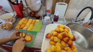 заготовка фруктов на зиму/первый раз использую дегидратор