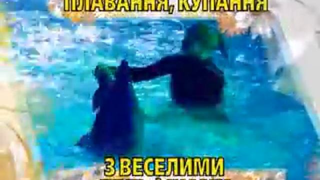 Плавание-купание с дельфинами смотреть онлайн