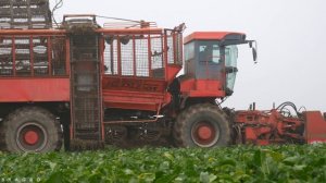 Уборка свеклы / Holmer TerraDos T2 /