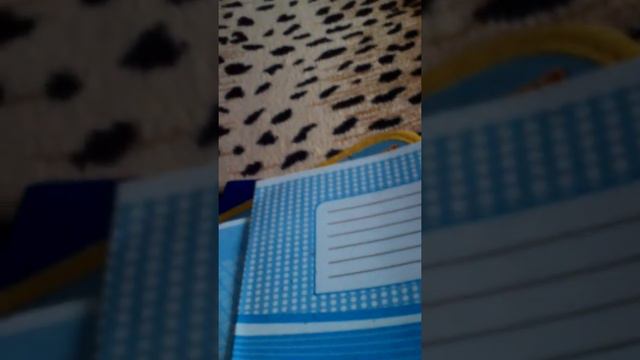 Недорого собратца в школу всего за 330 гривен смотреть онлайн