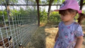 Ангелина и МАЛЕНЬКИЕ ТИГРЯТА!