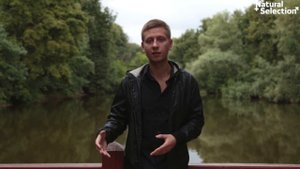 Как заинтересовать девушку? Давид Багдасарян