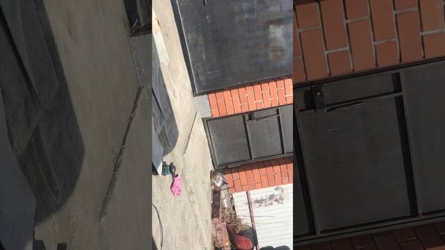 Ремонт порогов, арок, крыльев Toyota Carib AE95 с.19 смотреть онлайн