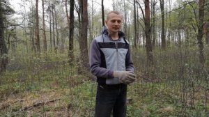Грунт для голубики! Кислый верховой рыжий торф и хвойный опад где взять?