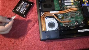 Как заменить жёсткий диск на твердотельный накопитель на ноутбуке HDD на SSD
