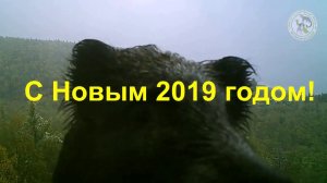 Обитатели Алтайского заповедника поздравляют с Новым 2019 годом!