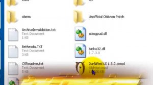 Oblivion DarNified UI tutorial