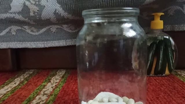 Как Вырастить Фасоль в Домашних Условиях #32 сажаем фасольку ?