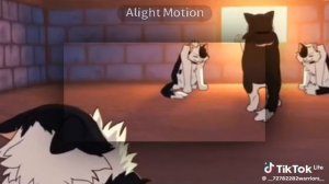 коты воители