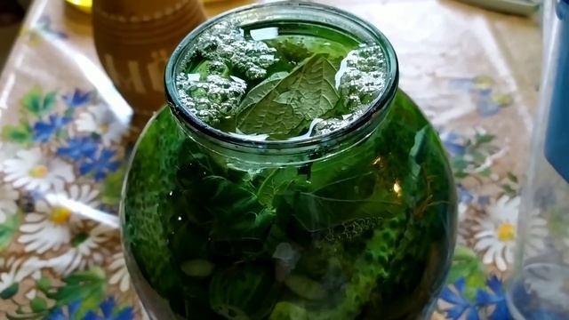 Дачные хлопоты/выпечка/засолка огурцов#ужин смотреть онлайн