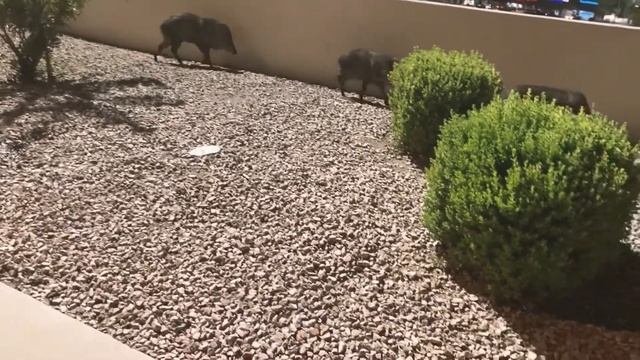 Java time смотреть онлайн