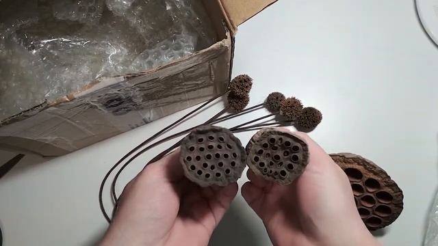 Сухие цветы для декора. Сухоцветы с Алиэкспресс. Декор комнаты. смотреть онлайн