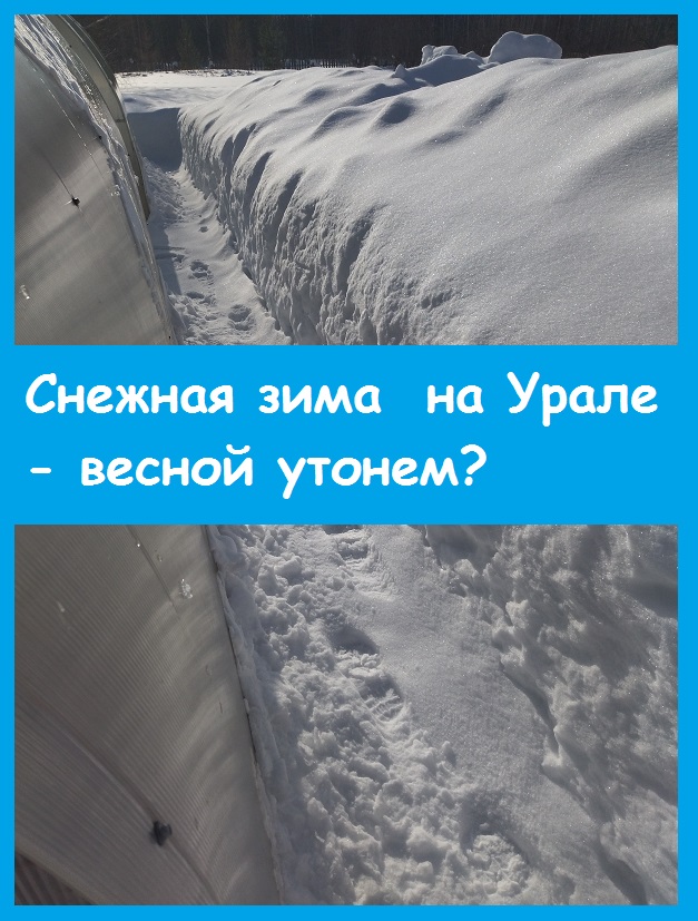 Сколько снега выпало на Урале зимой 2024 года - показываю свой огород!