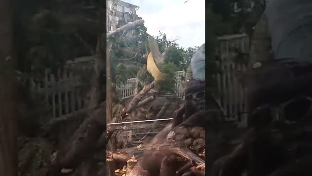 МОСКОВСКИЙ ЗООПАРК.часть 4 #москва #московскийзоопарк #люблюмоскву смотреть онлайн