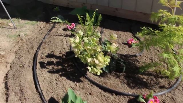 Spring Planting Megasode смотреть онлайн