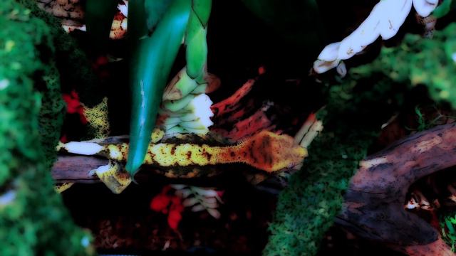 Сумеречный страж смотреть онлайн