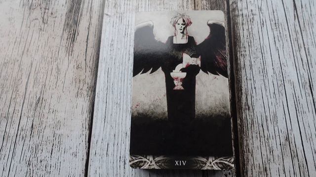 Murder Of Crows Tarot - Limited Edition - Flip Through