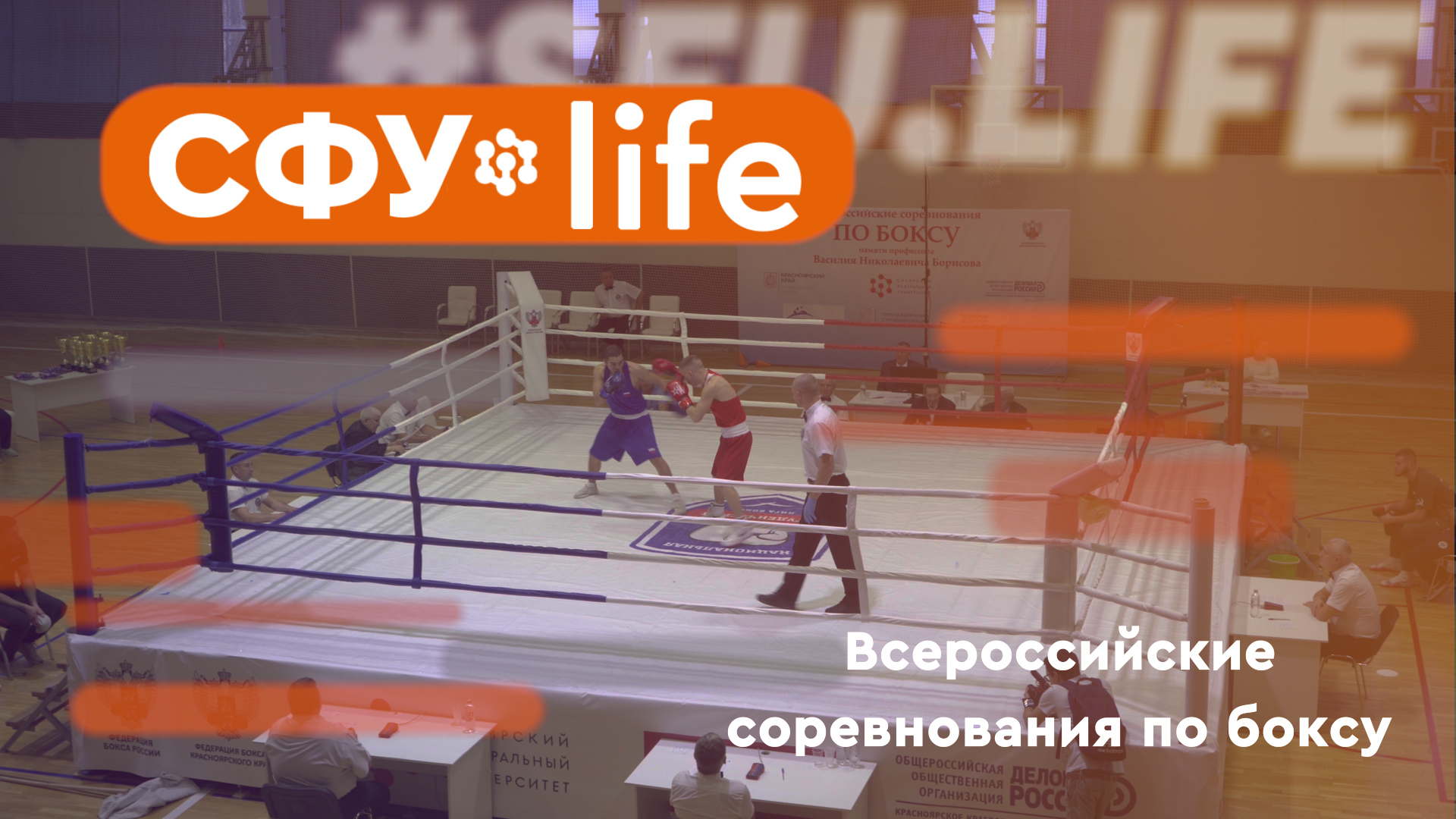 СФУ.life: Всероссийские соревнования по боксу