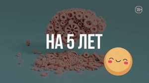 Как изучение языков влияет на мозг?
