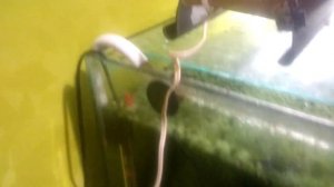 Внешний фильтр из бочки своими руками