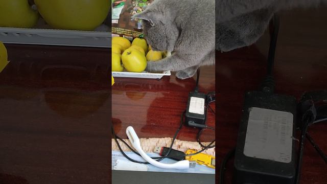 пахнет вкусно аш носик зачесался смотреть онлайн