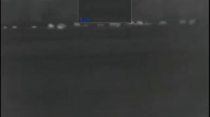 Охота с тепловизором пульсар хелион XQ50. Нашествие кабанов. "Как на параде"