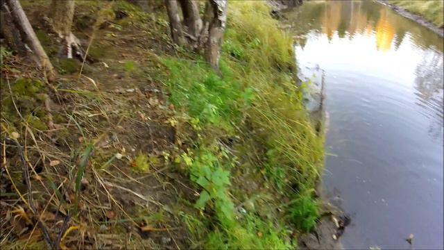 Кемка в октябре