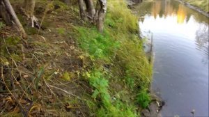 Кемка в октябре