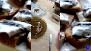 Как быстро и легко почистить кильку