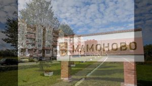 мамоново калининградская область
